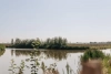 Park Veerse Kreek
