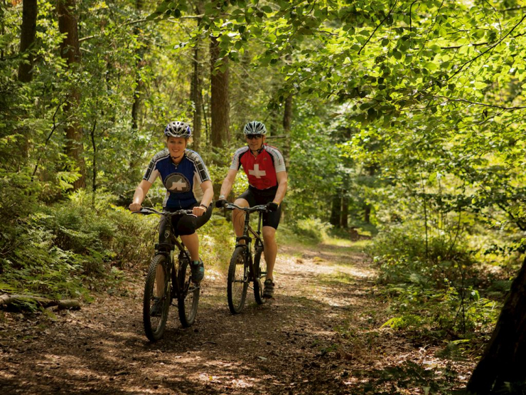 Résidence 't Hof van Haamstede