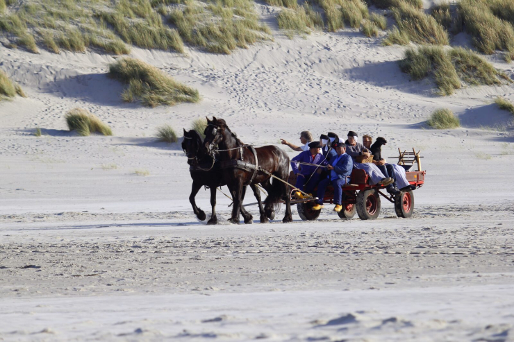 Résidence Terschelling