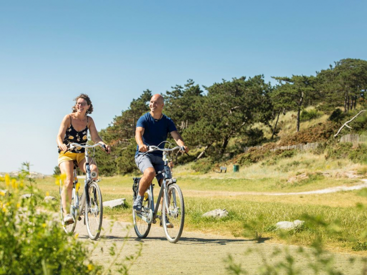 Landal Resort Haamstede