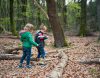 Resort Veluwe