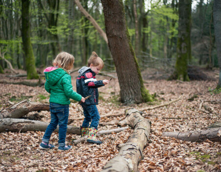 Resort Veluwe