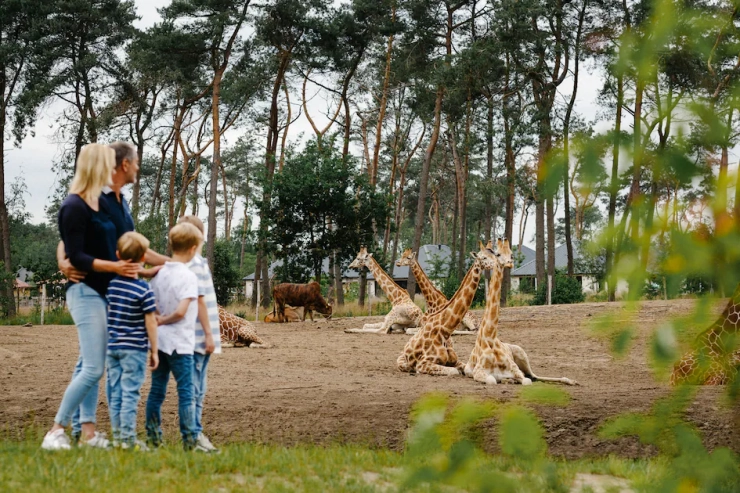 Safari Resort Beekse Bergen