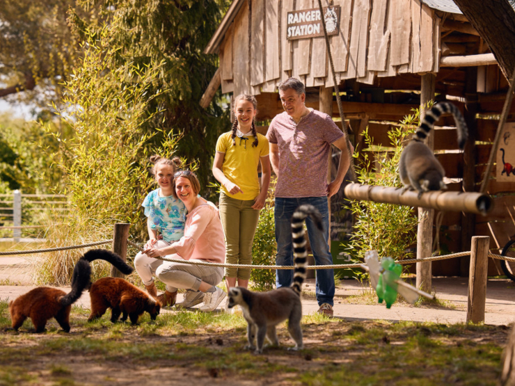 Safari Resort Beekse Bergen