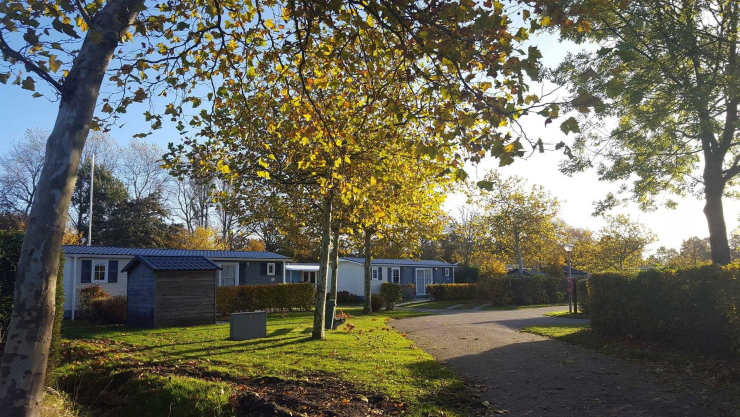 De Wijde Blick