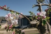 Roompot Park Wijdenes